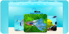 Minro Aquarium Lanka
