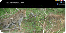 Yala Safari Budget Tours Sri Lanka