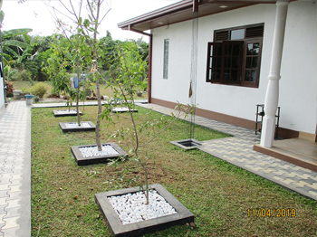 Landscaping Work in Sri Lanka